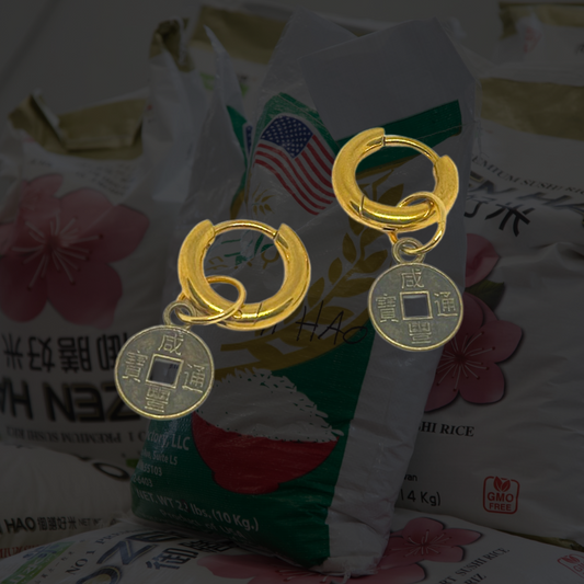 Gold Lucky Coin Earrings