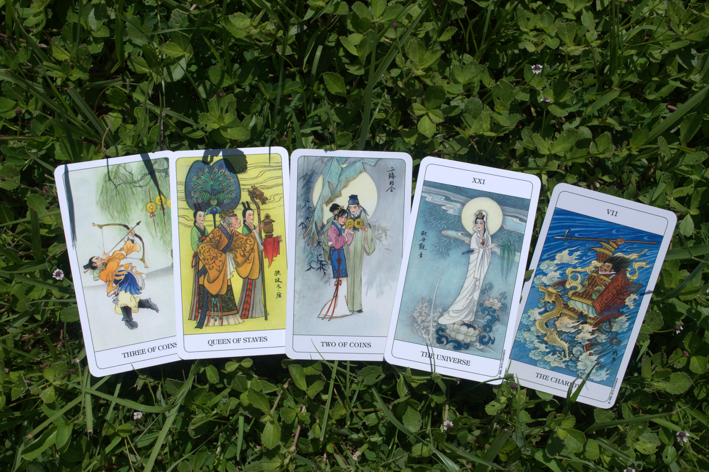 Tarot, Oracle, and Shells/Bones Readings
