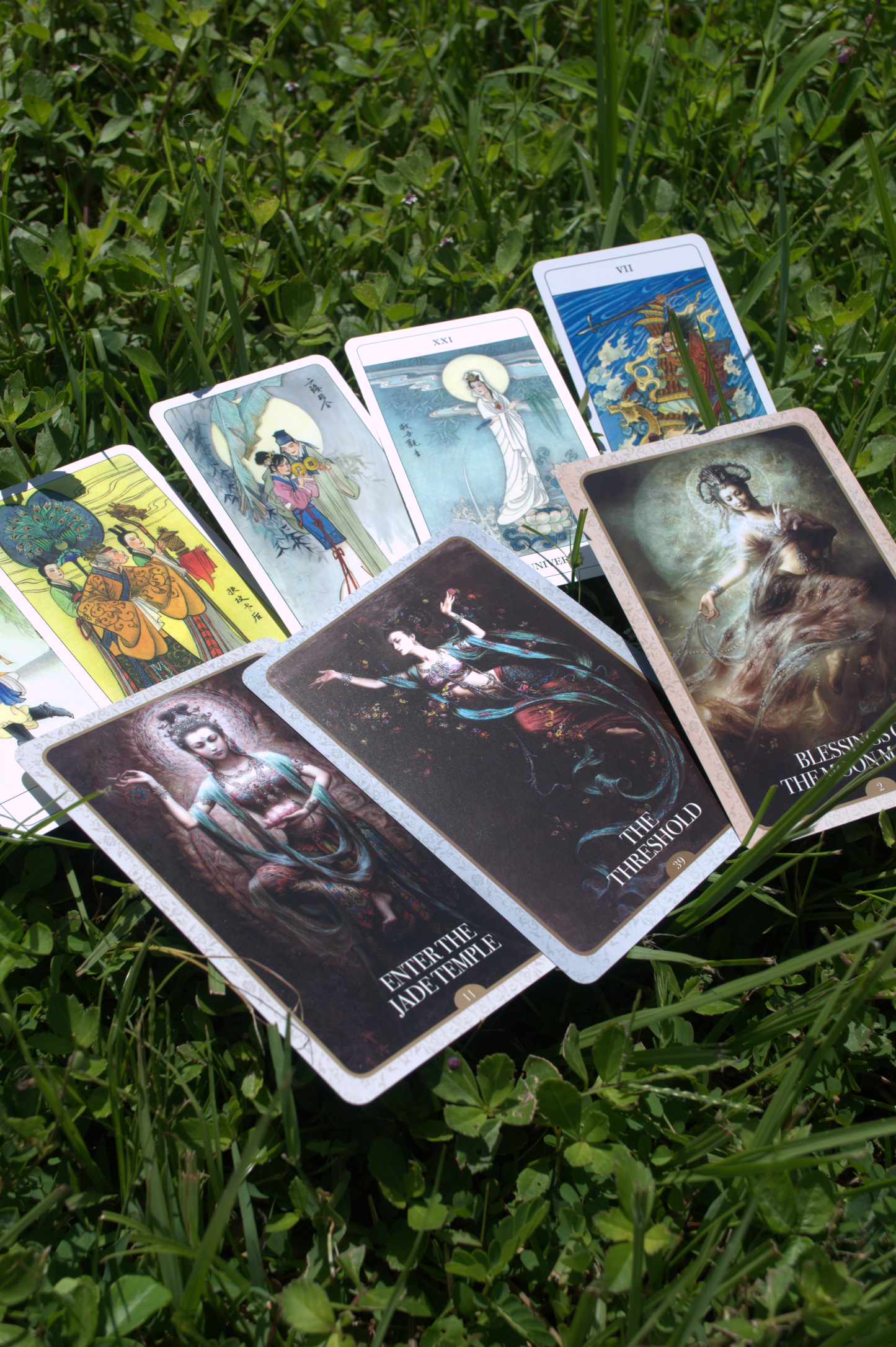 Tarot, Oracle, and Shells/Bones Readings