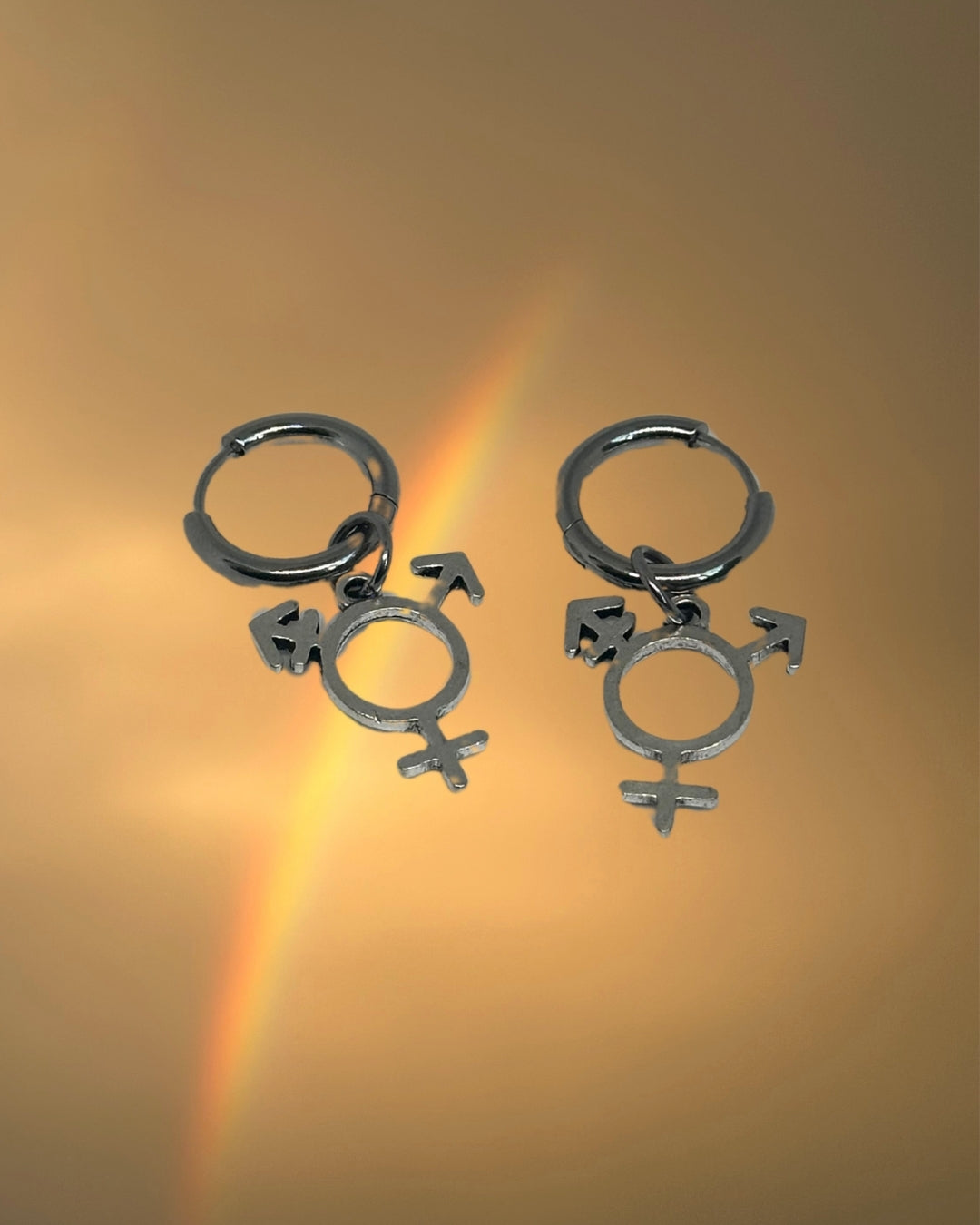 Trans Earrings