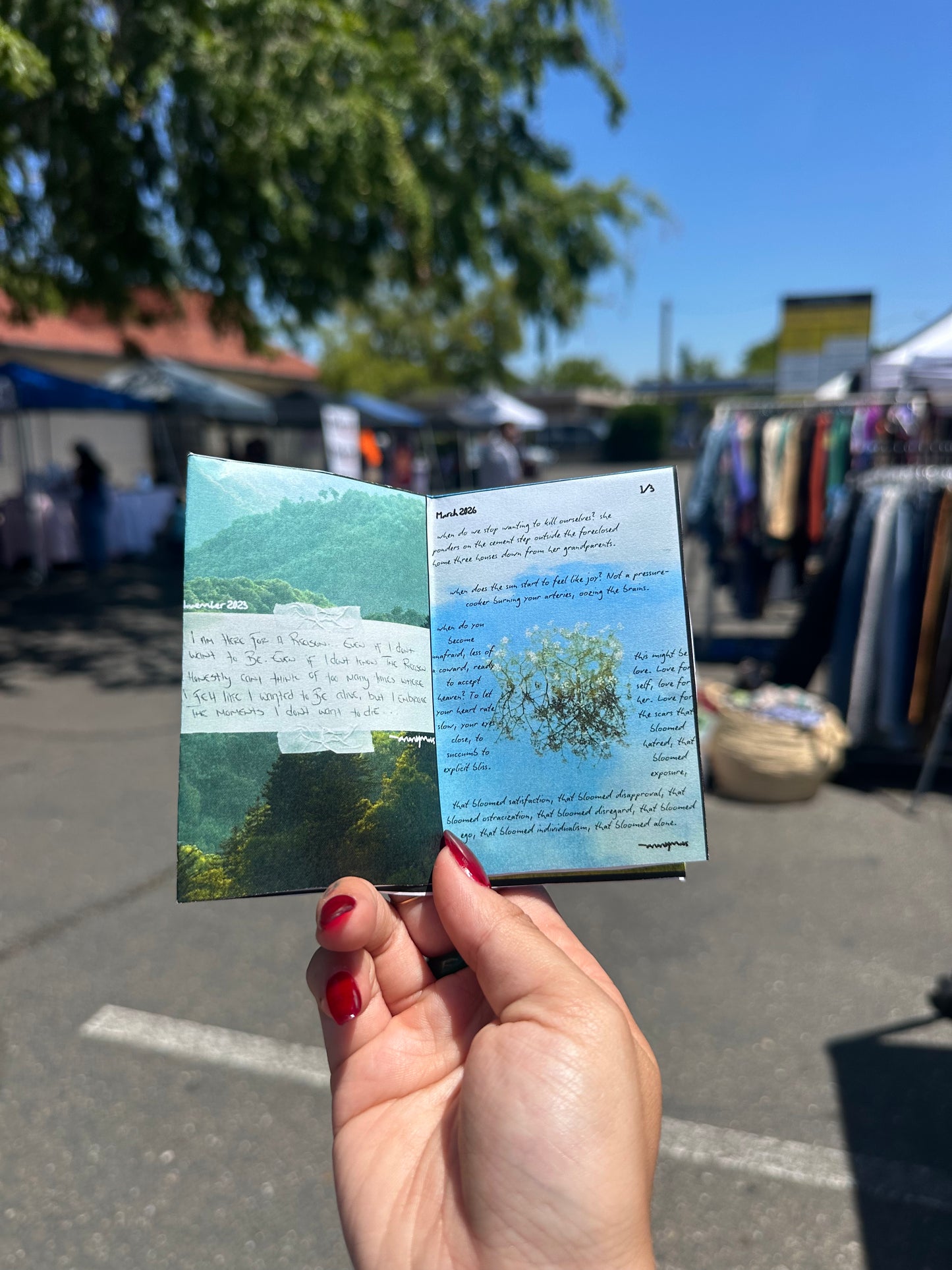 Suicide Diaries Zine VOL II