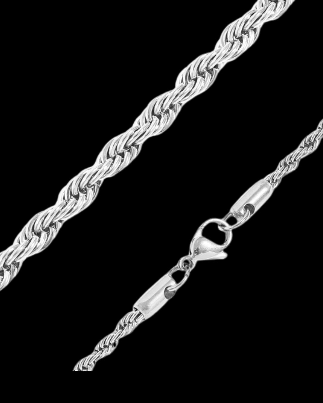 Silver Scorpion Necklace