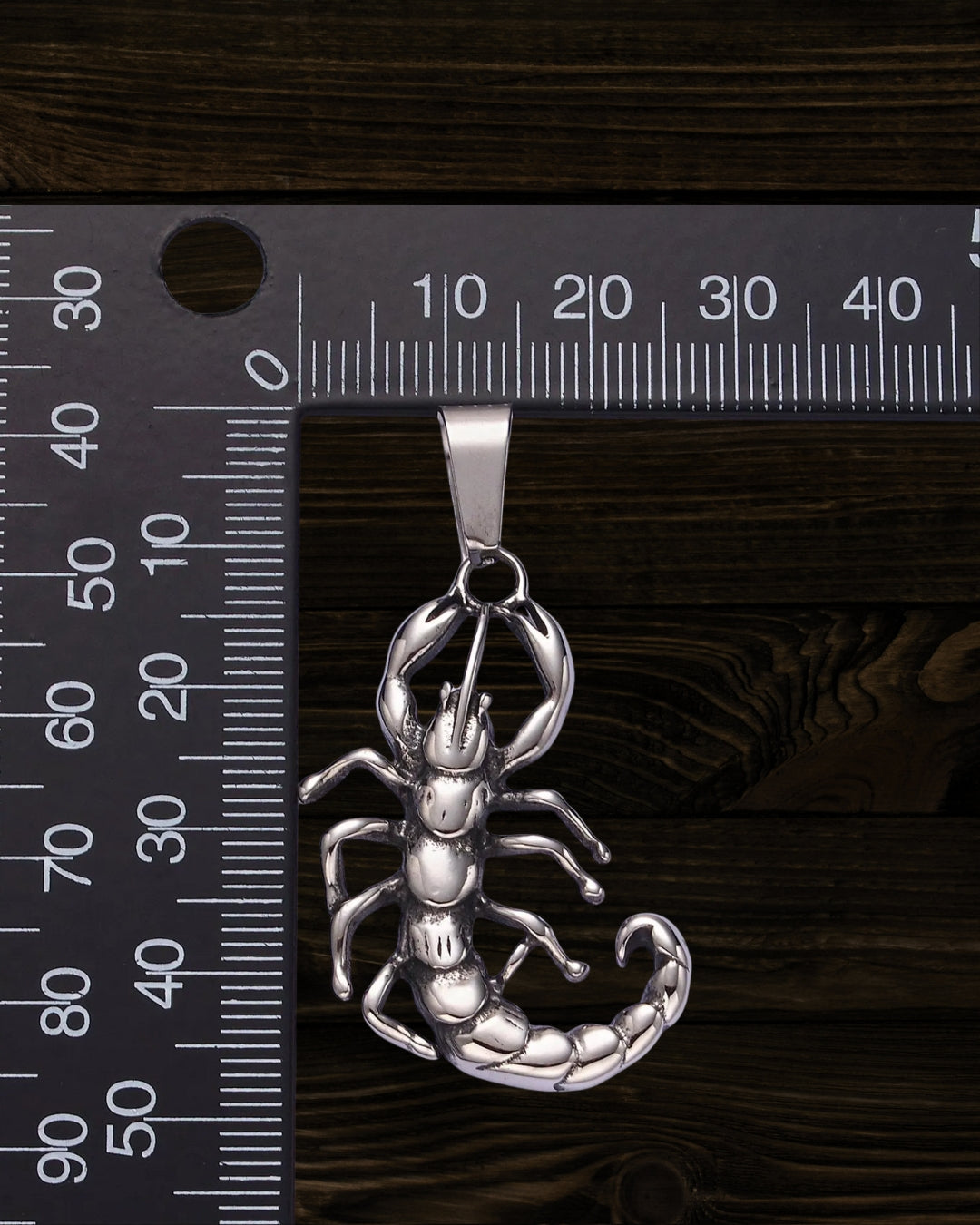 Silver Scorpion Necklace